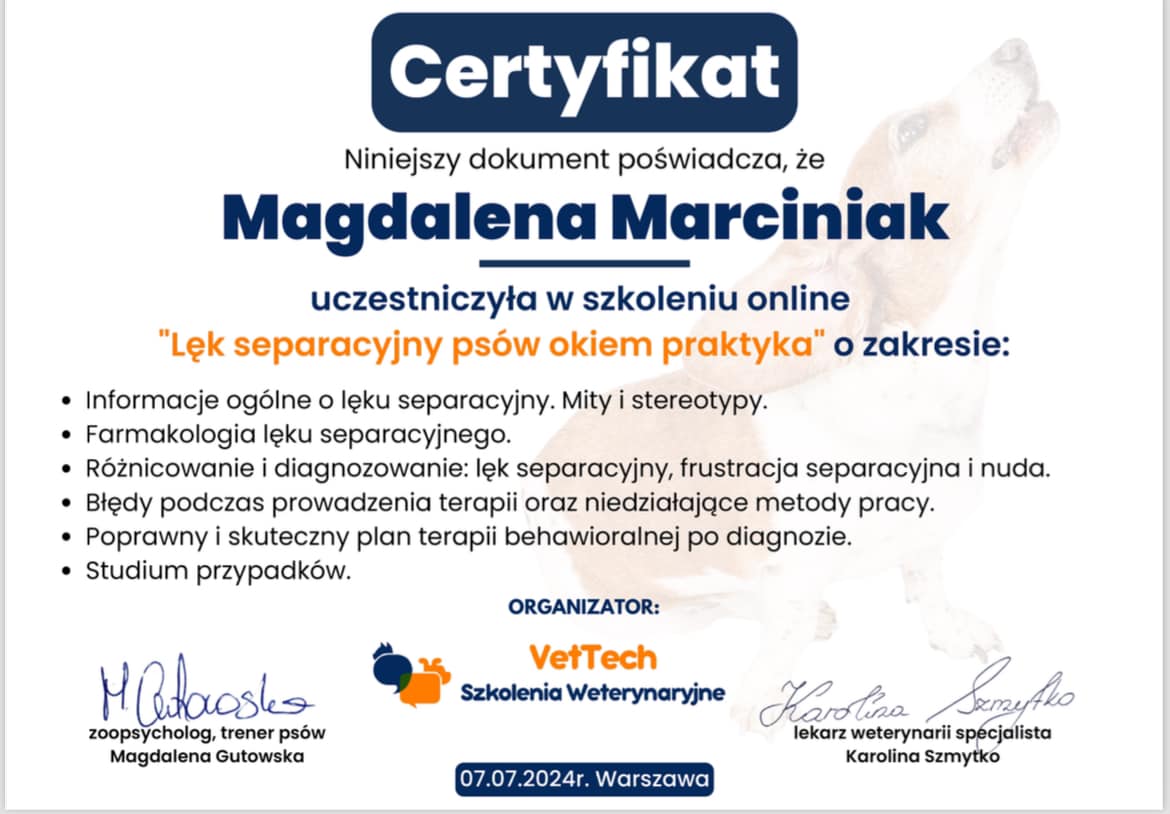 certyfikat 7, lęk separacyjny jak walczyć