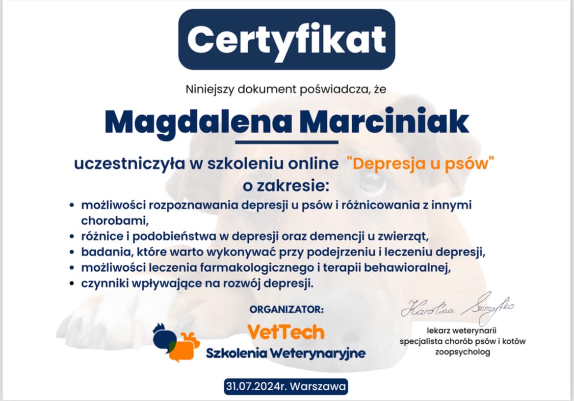 certyfikat 8, depresja u psów