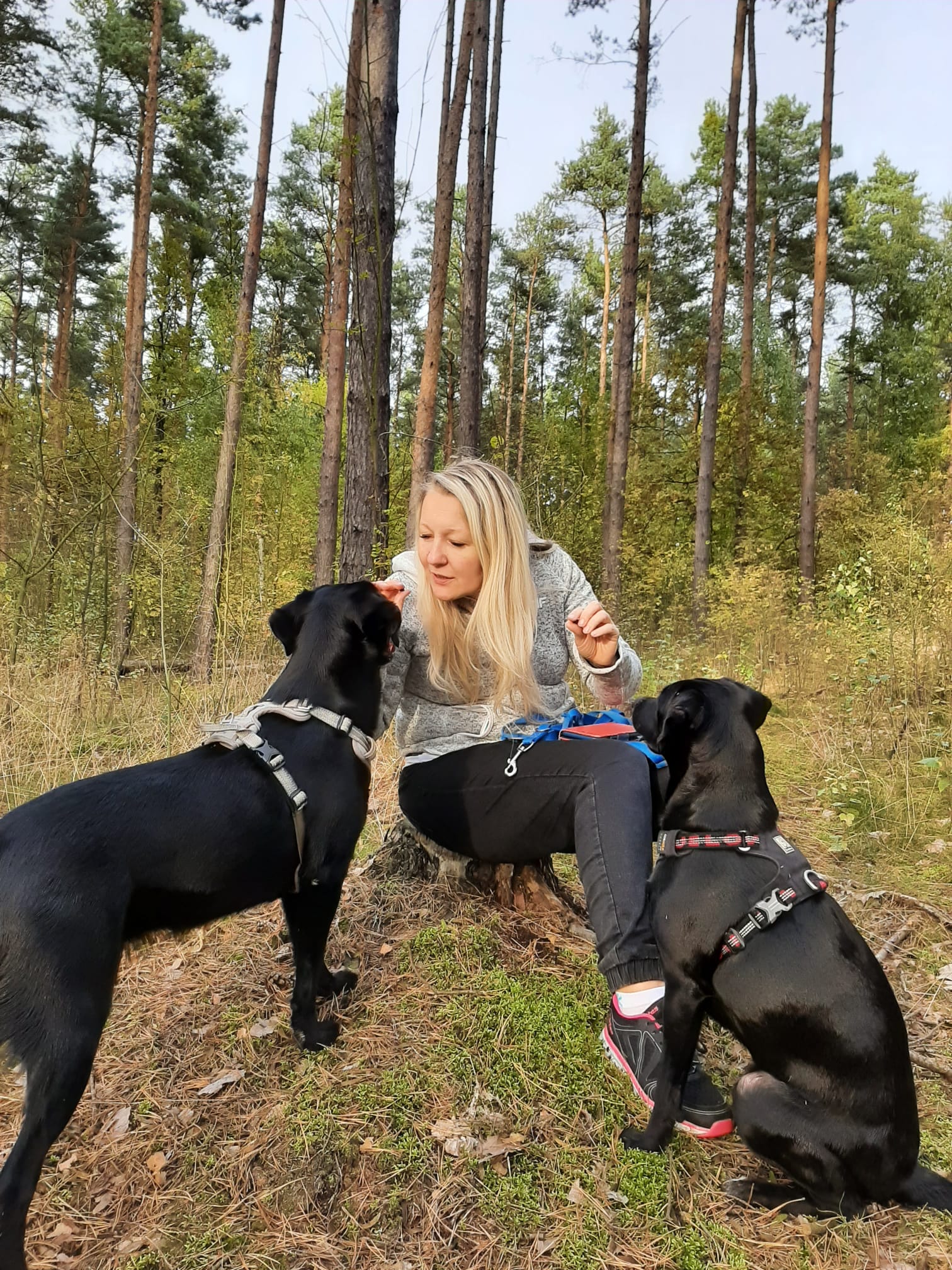 kobieta, z dwoma psami w lesie nagradzająca je, za poprawne wykonanie komendy